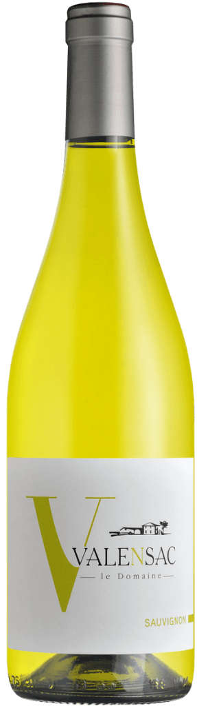 Sauvignon Blanc 2024 Domaine Valensac