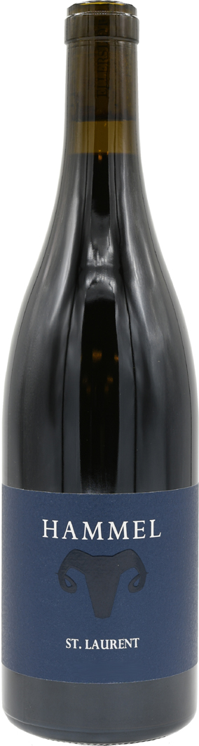St. Laurent Barrique 2023 Weingut Herbert Hammel