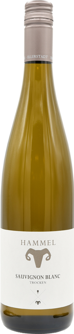 Sauvignon Blanc 2024 Weingut Herbert Hammel